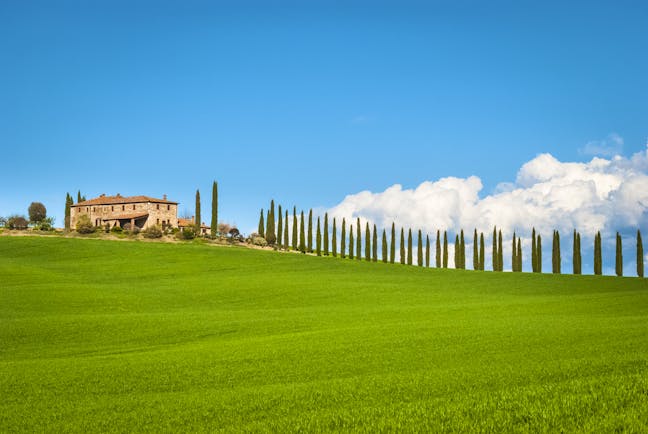 Green field, row of cypress trees on hill and farmhouse with red terracotta roof in Tuscany