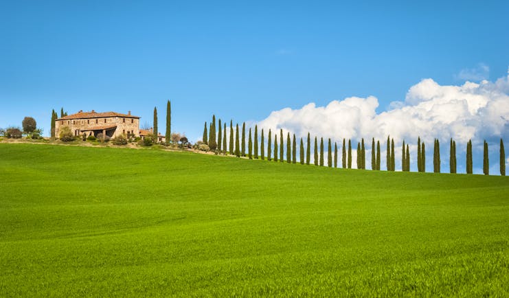 Green field, row of cypress trees on hill and farmhouse with red terracotta roof in Tuscany