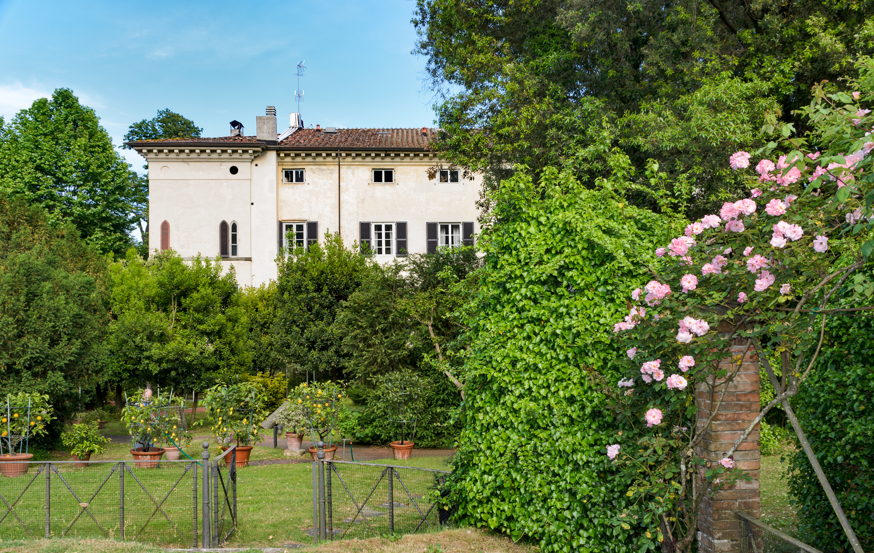 Villa with garden and roses