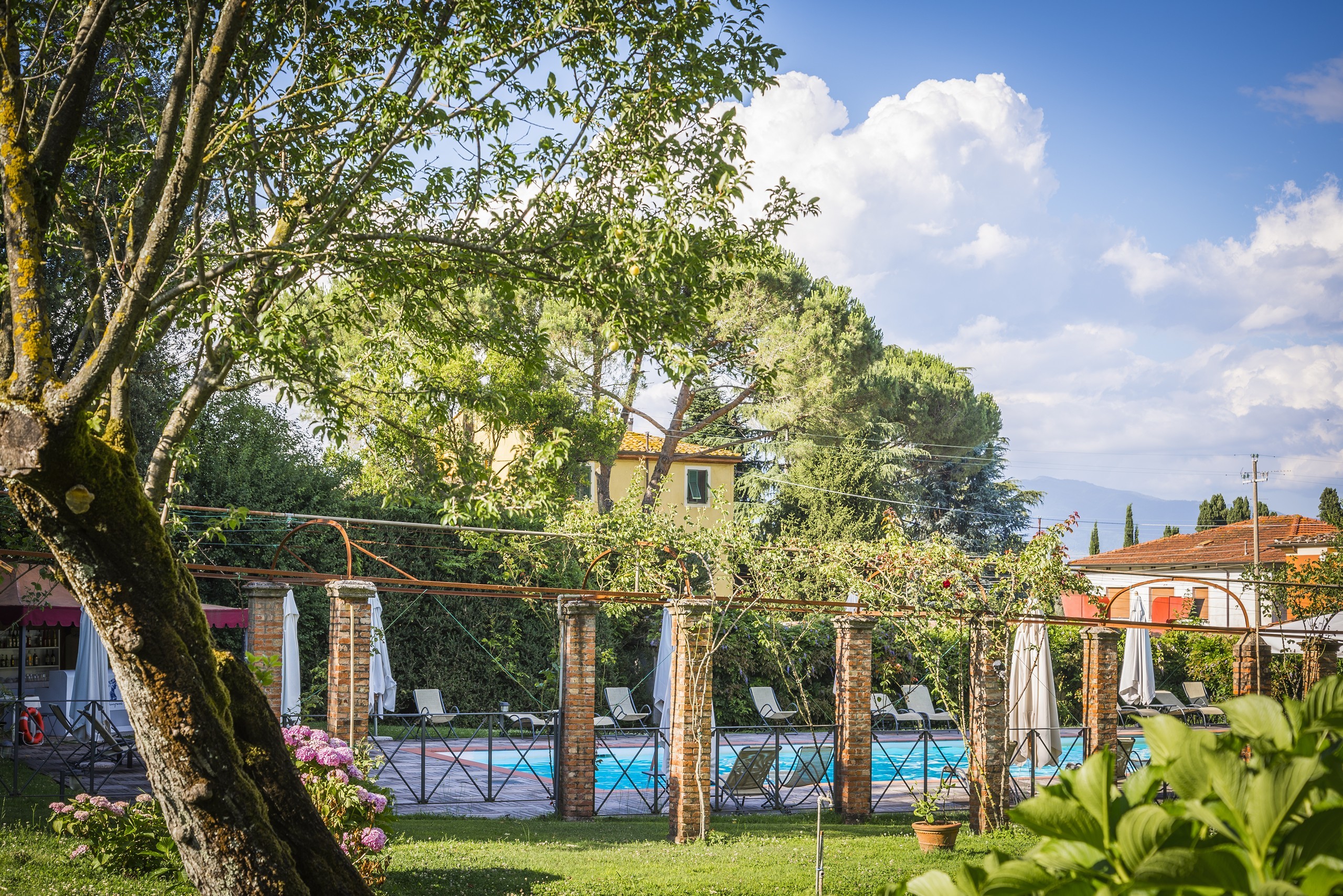 Swimming pool in garden