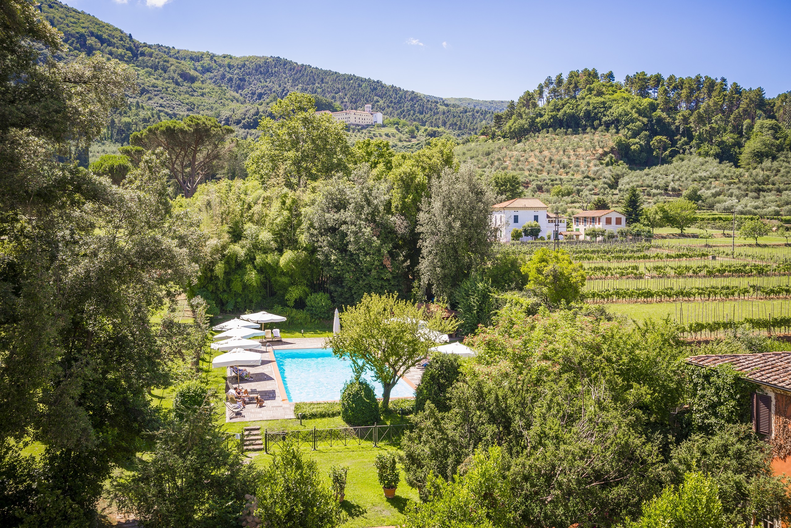 Swimming pool surrounded by fields and trees