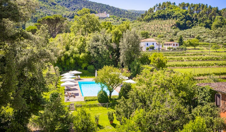 Swimming pool surrounded by fields and trees