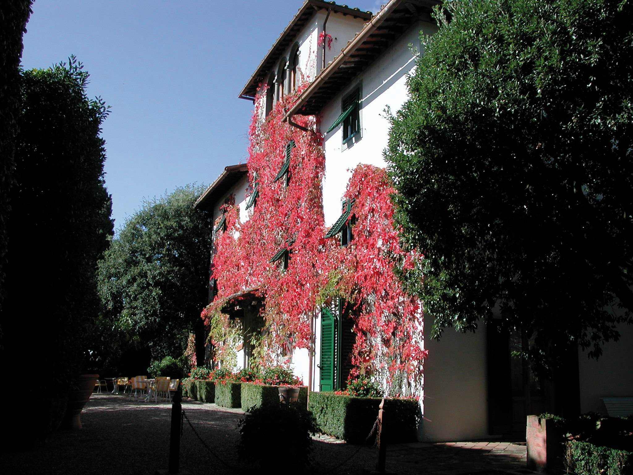 Autumn exterior with red shade of leafy vines climbing up white hotel exterior 