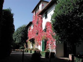 Autumn exterior with red shade of leafy vines climbing up white hotel exterior 
