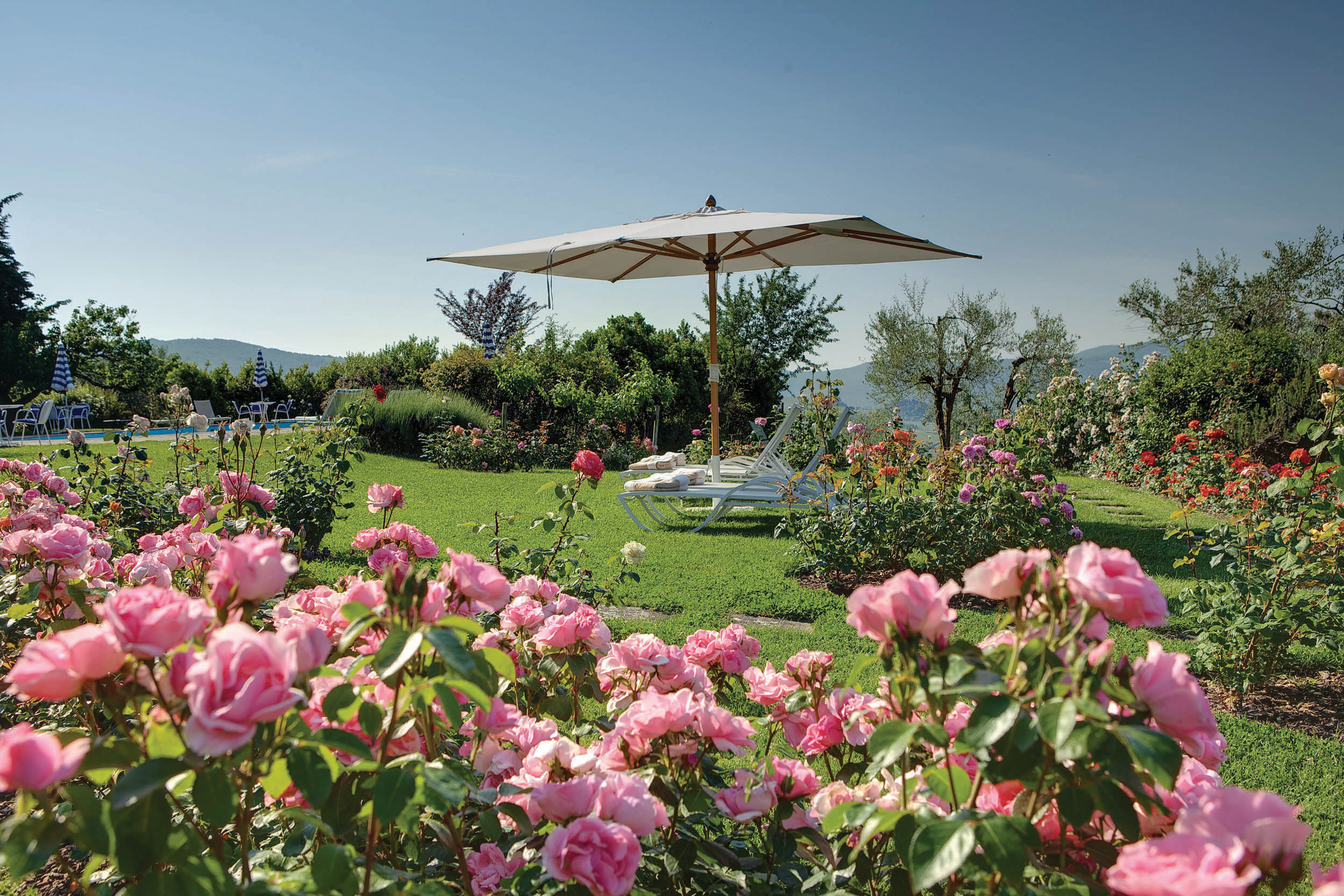 Pool and sun loungers in distance with pink flowers in front view