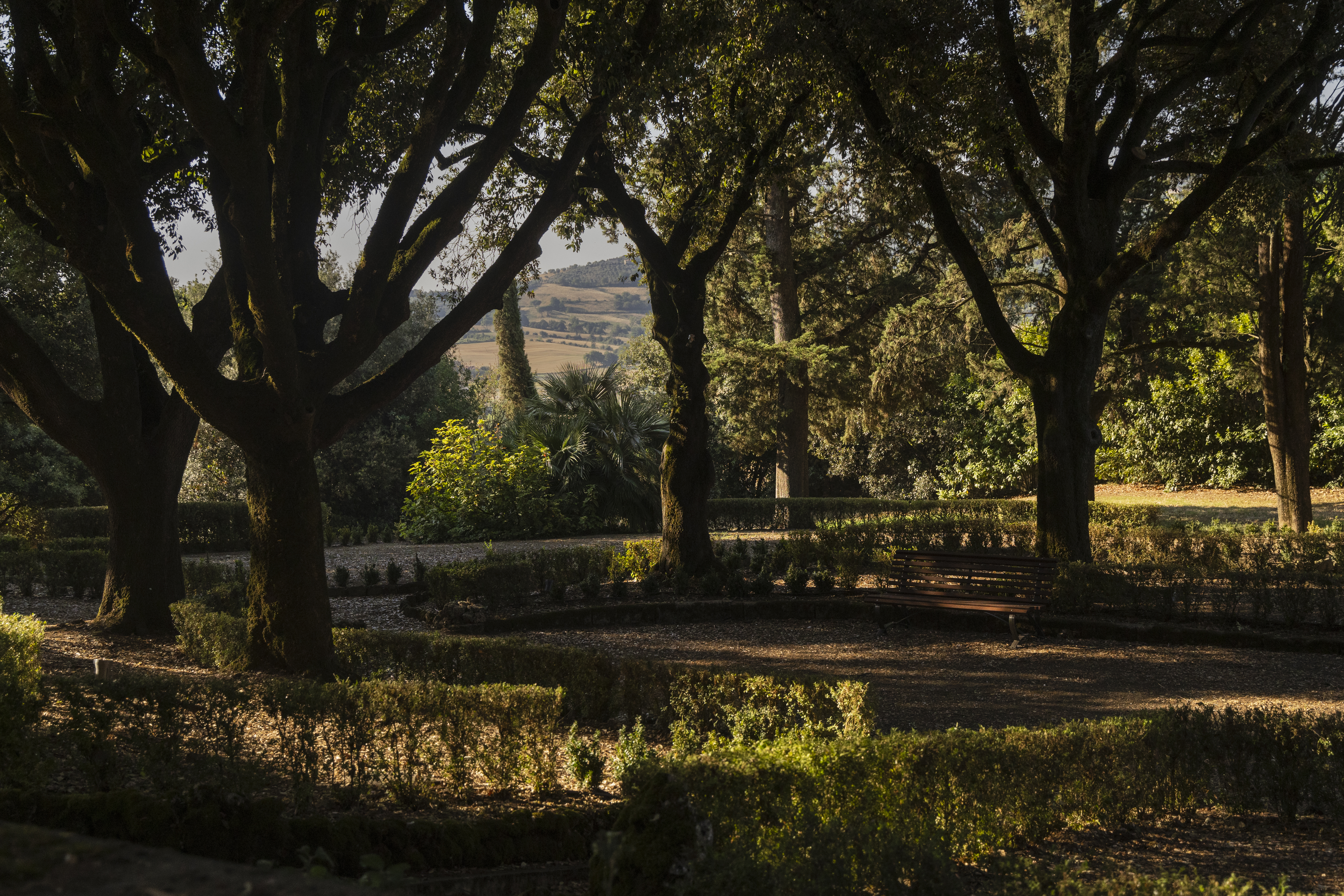 Borgo dei Conti Italian style gardens, with low hedges, tall shady trees, and the Umbrian countryside visible in the distance
