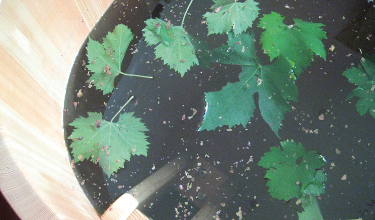 Hotel Le Tre Vaselle Umbria wine making barrel of fermenting grapes