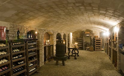 Wine cellar with racks of bottles