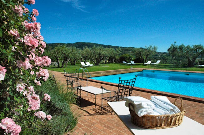 Pink flowers overlooking swimming pool