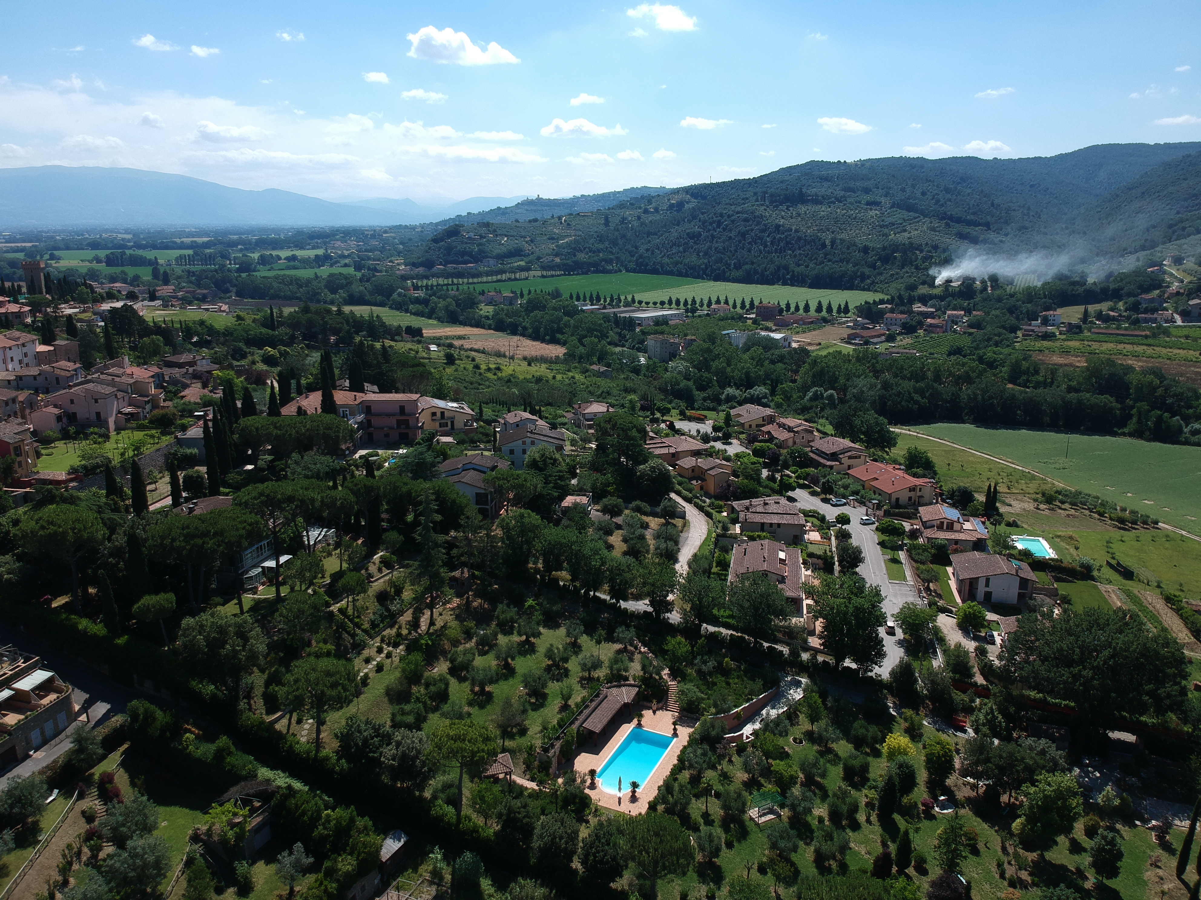 Aerial view of hotel with pool and olive groves