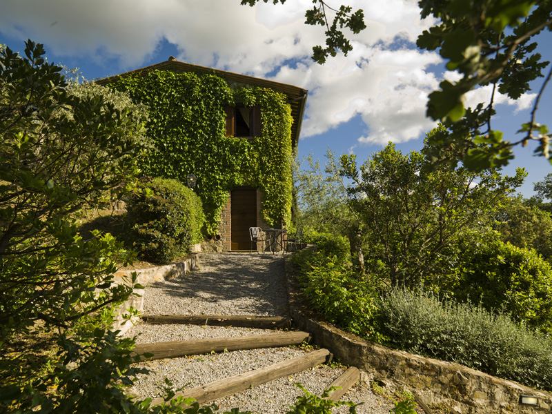 View of one of the buildings at the hotel villa di monte solare with leaves completely covering the sides of the wall