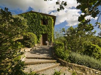 View of one of the buildings at the hotel villa di monte solare with leaves completely covering the sides of the wall