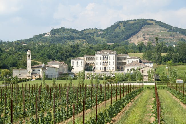 Palladian villa of Rinaldi Barbini near Asolo with rows of vines in spring