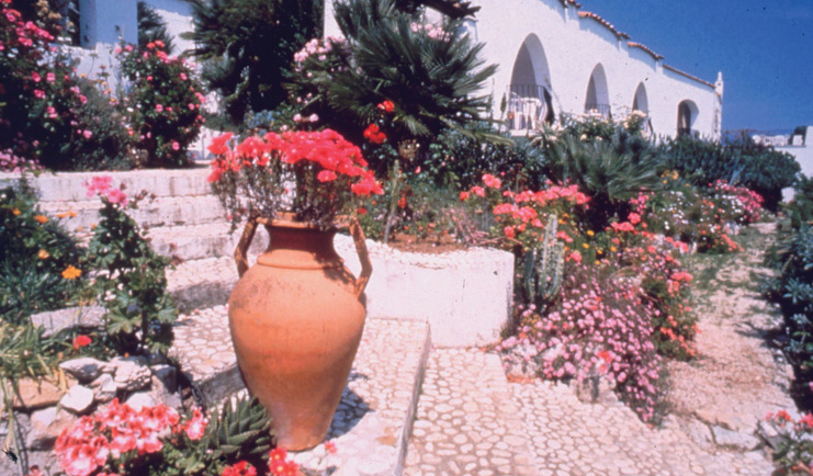 Hotel Abbazia Veneto exterior hotel building covered in vines flowers