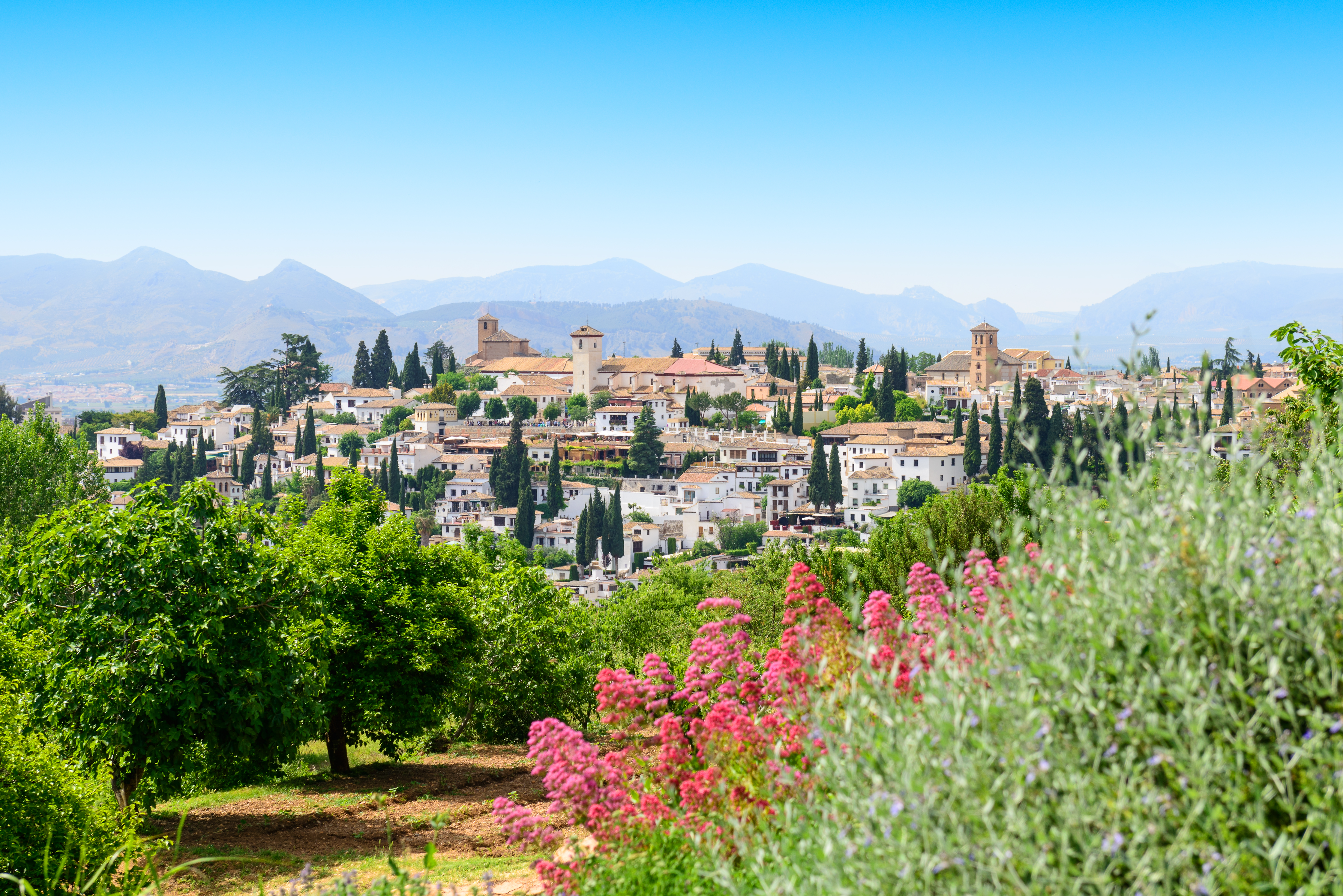 Houses clustered together seen from a distance with flowers in foregroun and mountains in background at Granada