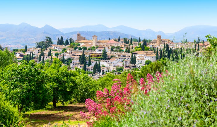 Houses clustered together seen from a distance with flowers in foregroun and mountains in background at Granada