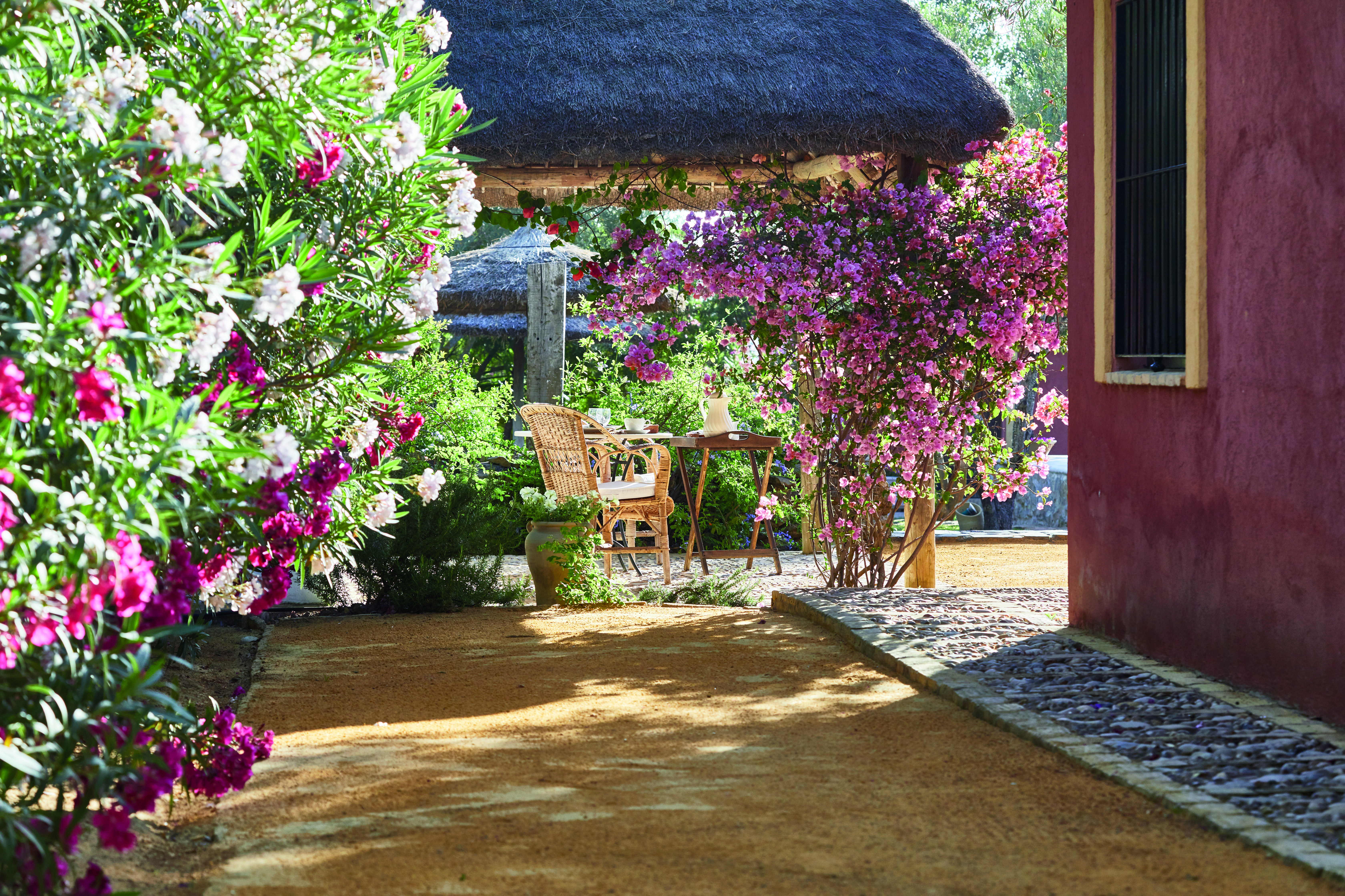 Hacienda de San Rafael Andalucia garden outdoor seating trees flowers