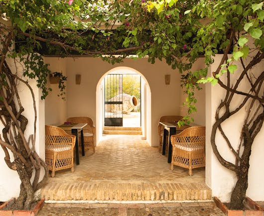 Courtyard with archway, chairs and vines