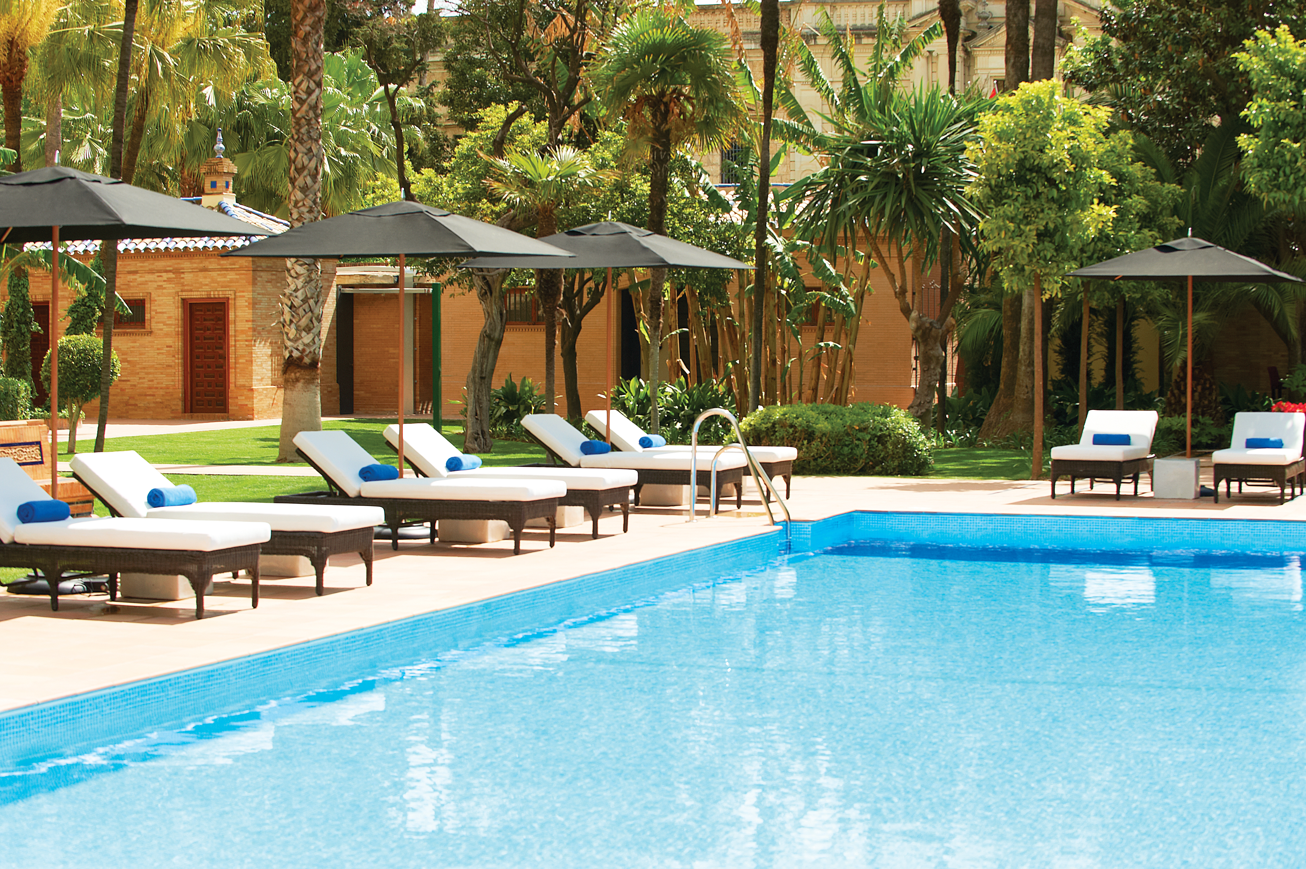 Outdoor swimming pool with trees and sun loungers surrouding the pool