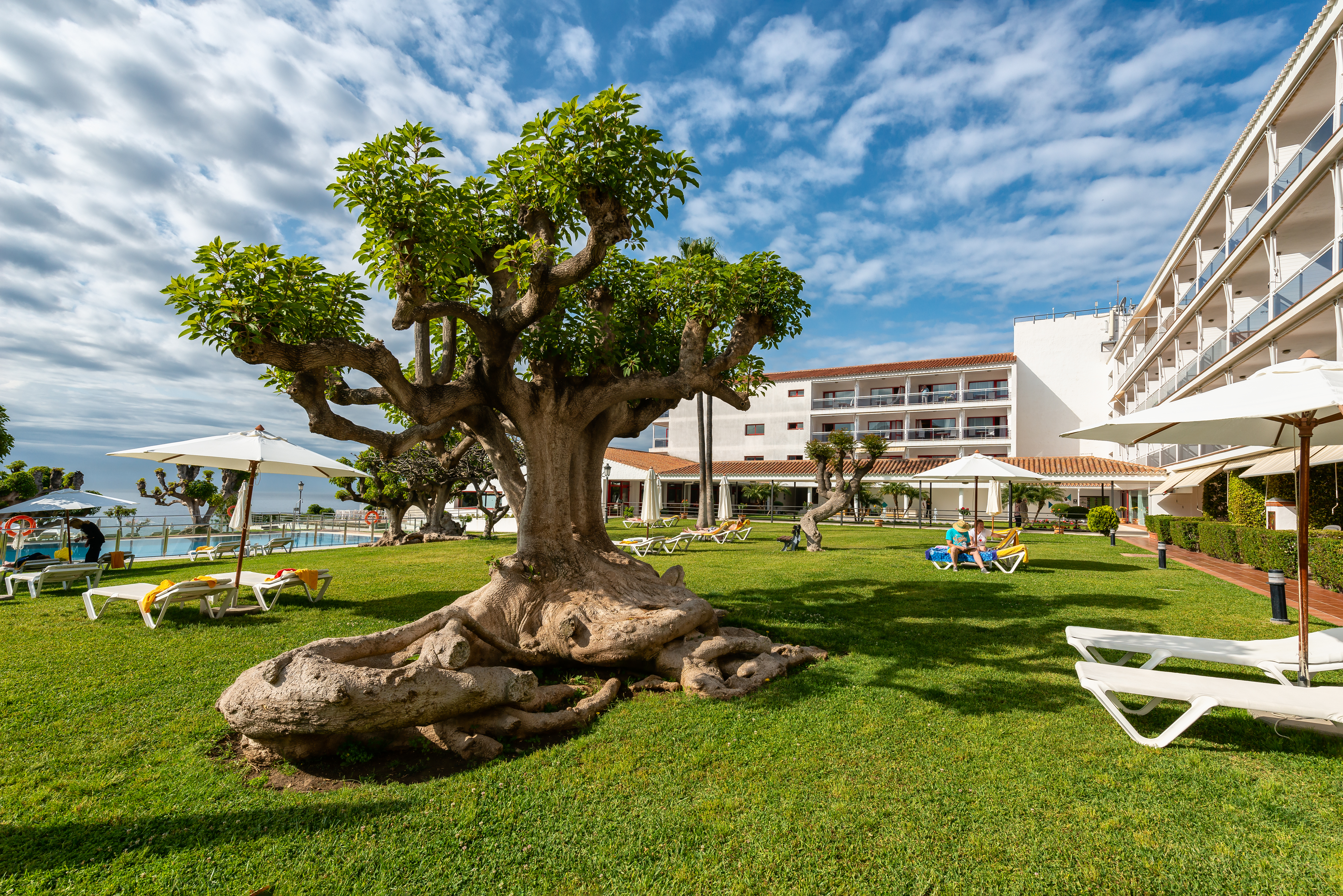 Parador de Nerja gardens, trees, outdoor pool, sun loungers, umbrellas