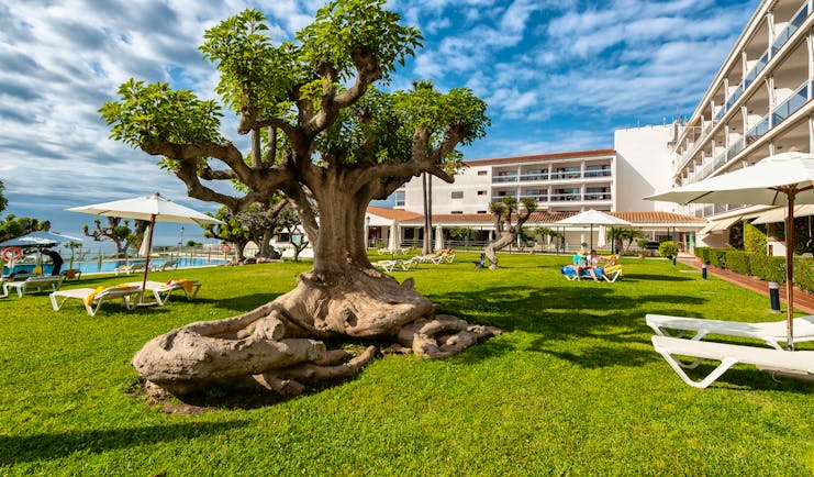 Parador de Nerja gardens, trees, outdoor pool, sun loungers, umbrellas