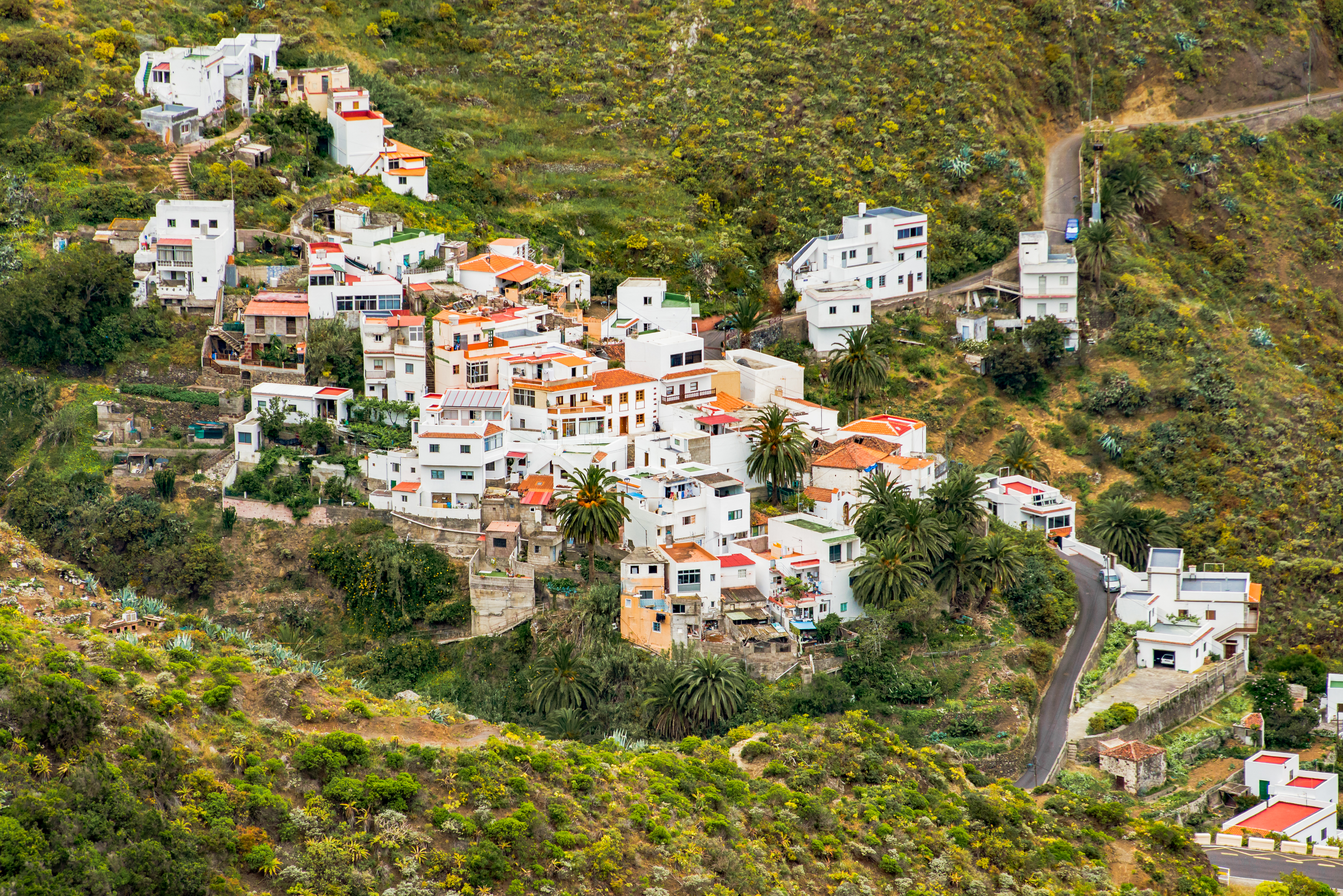 White houses clustered on hillside with palm trees and aloe vera spiky plants in Tenerife