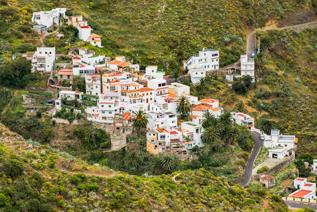 White houses clustered on hillside with palm trees and aloe vera spiky plants in Tenerife
