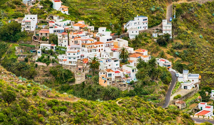 White houses clustered on hillside with palm trees and aloe vera spiky plants in Tenerife