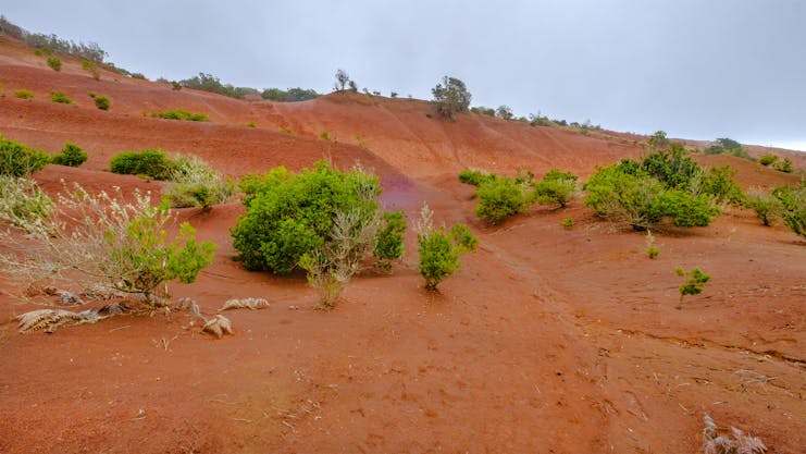 Bright orange red soil of hillside with hardly any green bushes in La Gomera in the Canaries