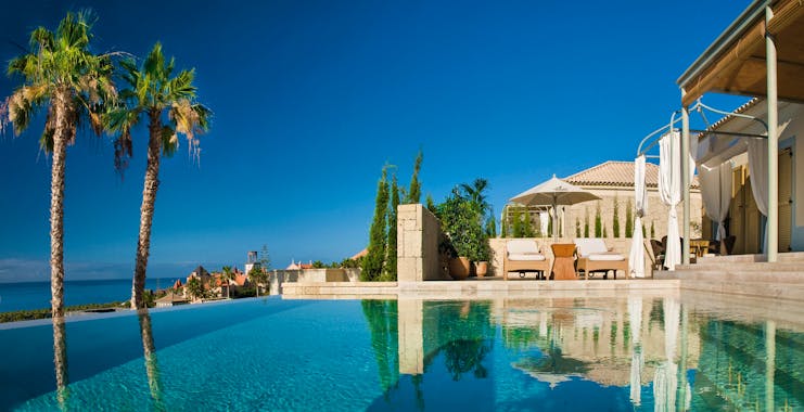 Swiming pool with palm trees 