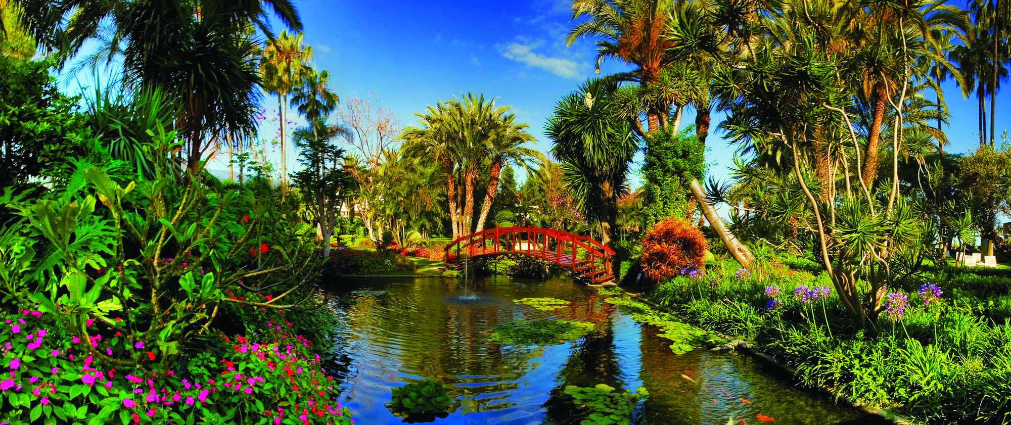 Hotel Botanico Tenerife gardens small bridge over pond trees shrubbery flowers