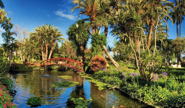 Hotel Botanico Tenerife gardens small bridge over pond trees shrubbery flowers