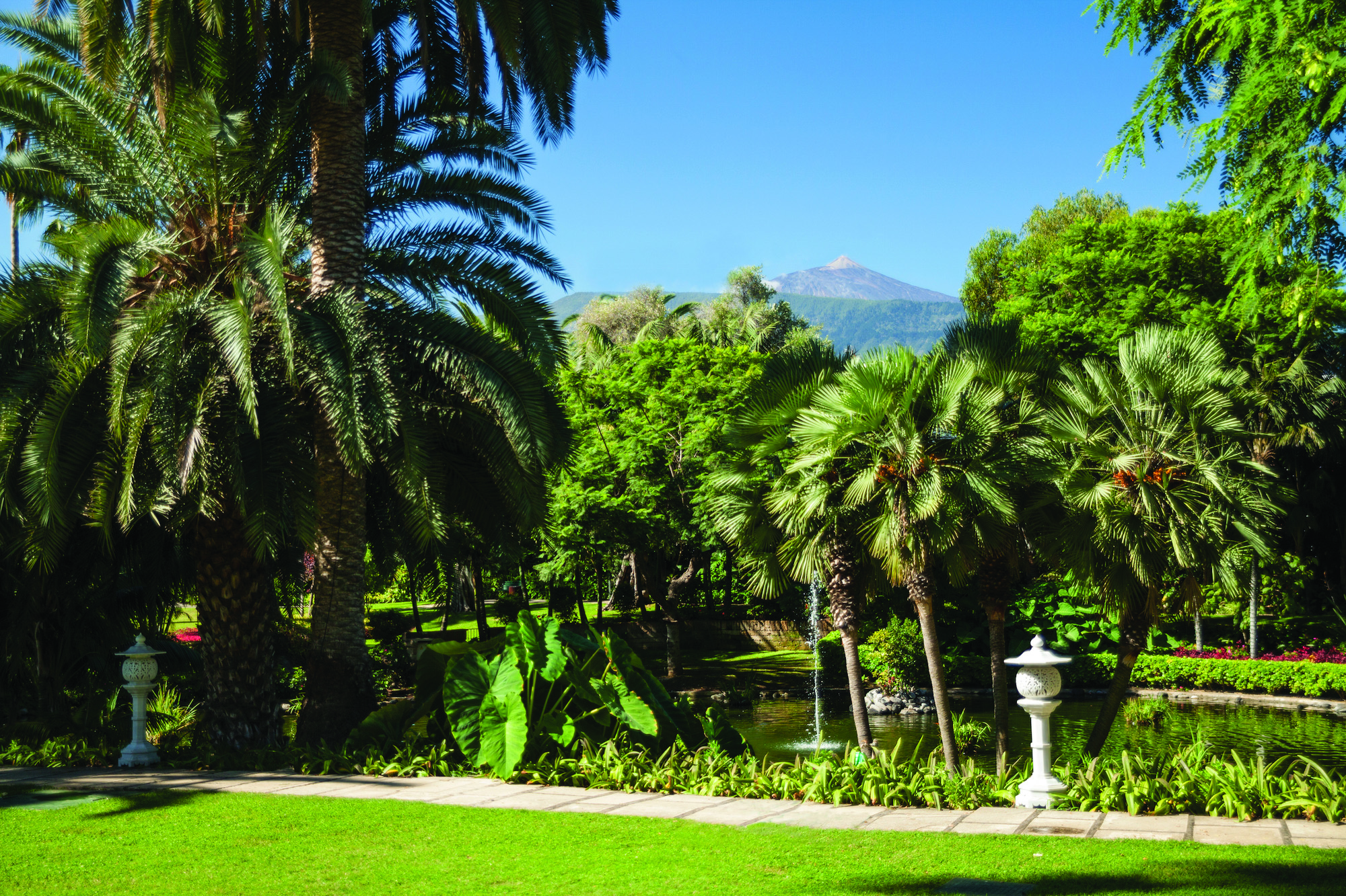 Hotel Botanico Tenerife grounds gardens trees and shrubbery