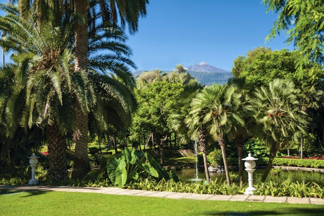 Hotel Botanico Tenerife grounds gardens trees and shrubbery