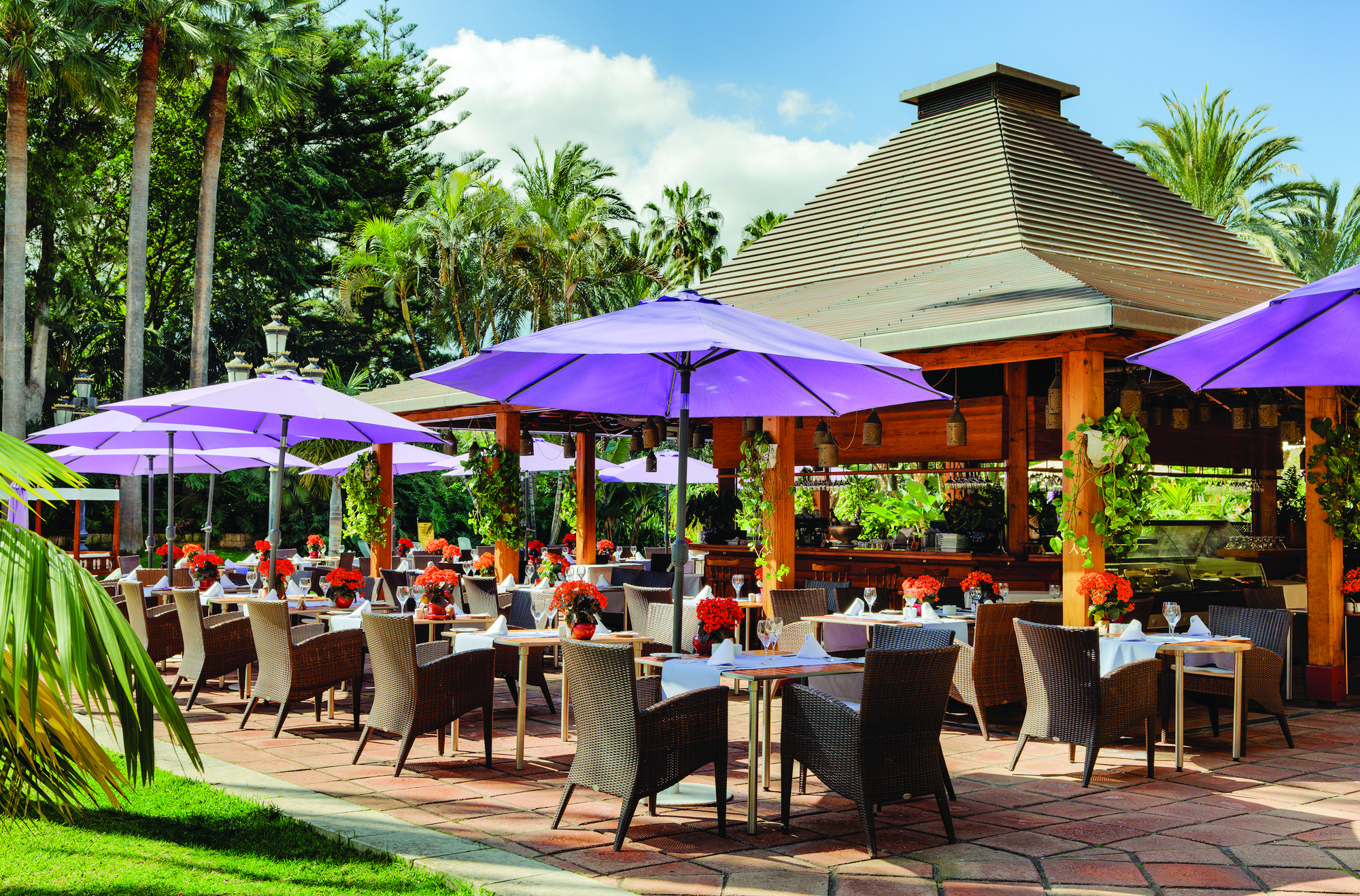 Hotel Botanico Tenerife Palmera Real restaurant outdoor dining umbrellas trees