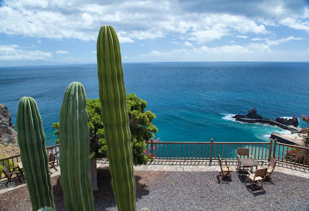 View of the sea with rocks in and cactus in front