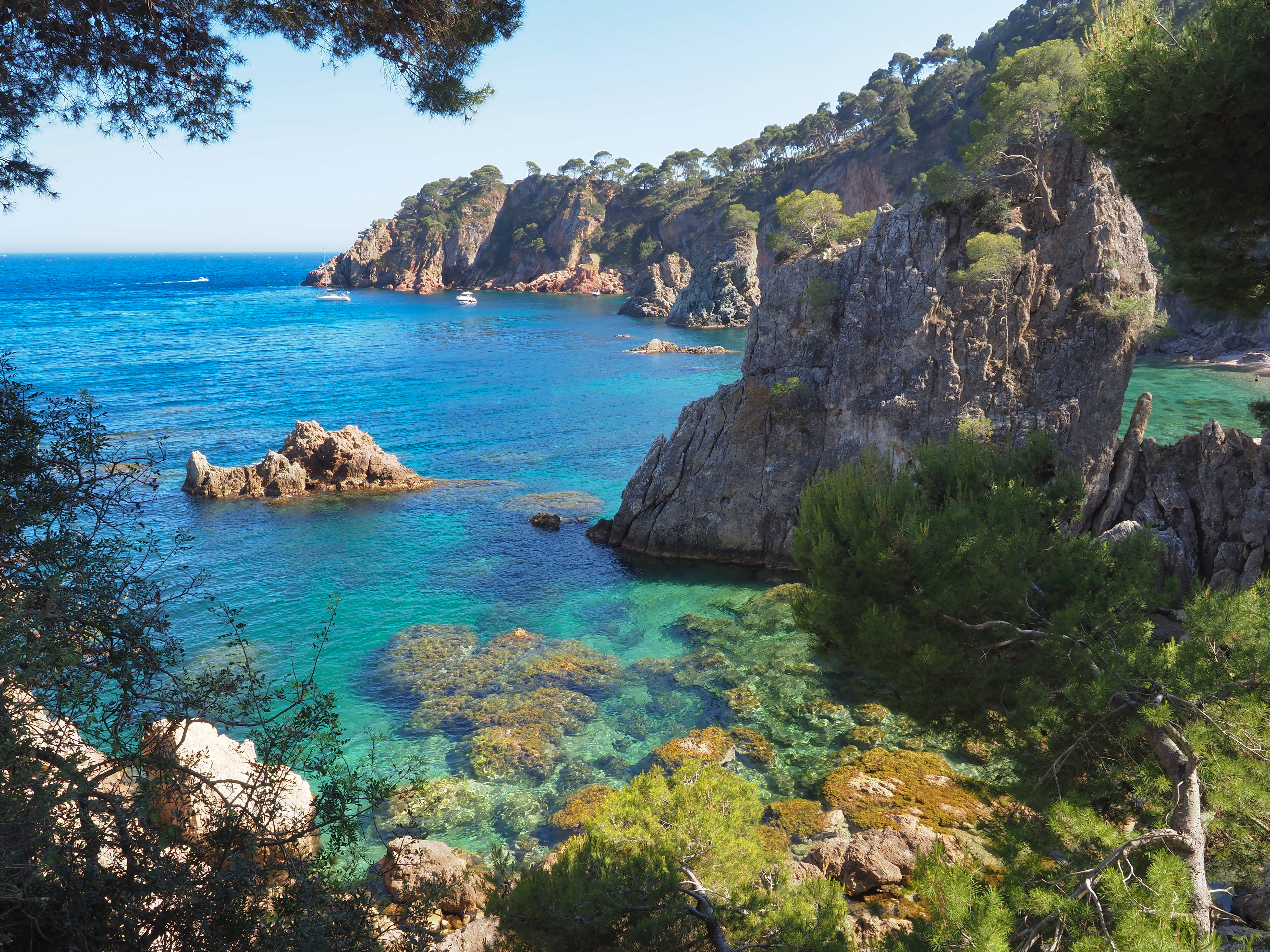 Rocky grey cliffs with Mediterranean vegetation dropping into turquoise marine sea with underwater rocks on the Costa Brava