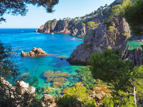 Rocky grey cliffs with Mediterranean vegetation dropping into turquoise marine sea with underwater rocks on the Costa Brava