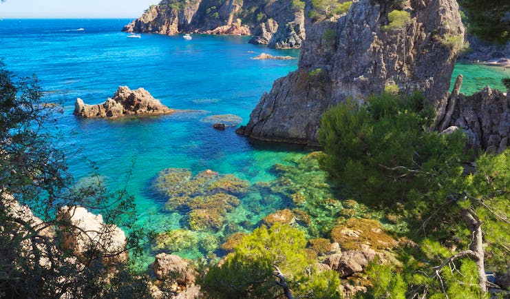 Rocky grey cliffs with Mediterranean vegetation dropping into turquoise marine sea with underwater rocks on the Costa Brava