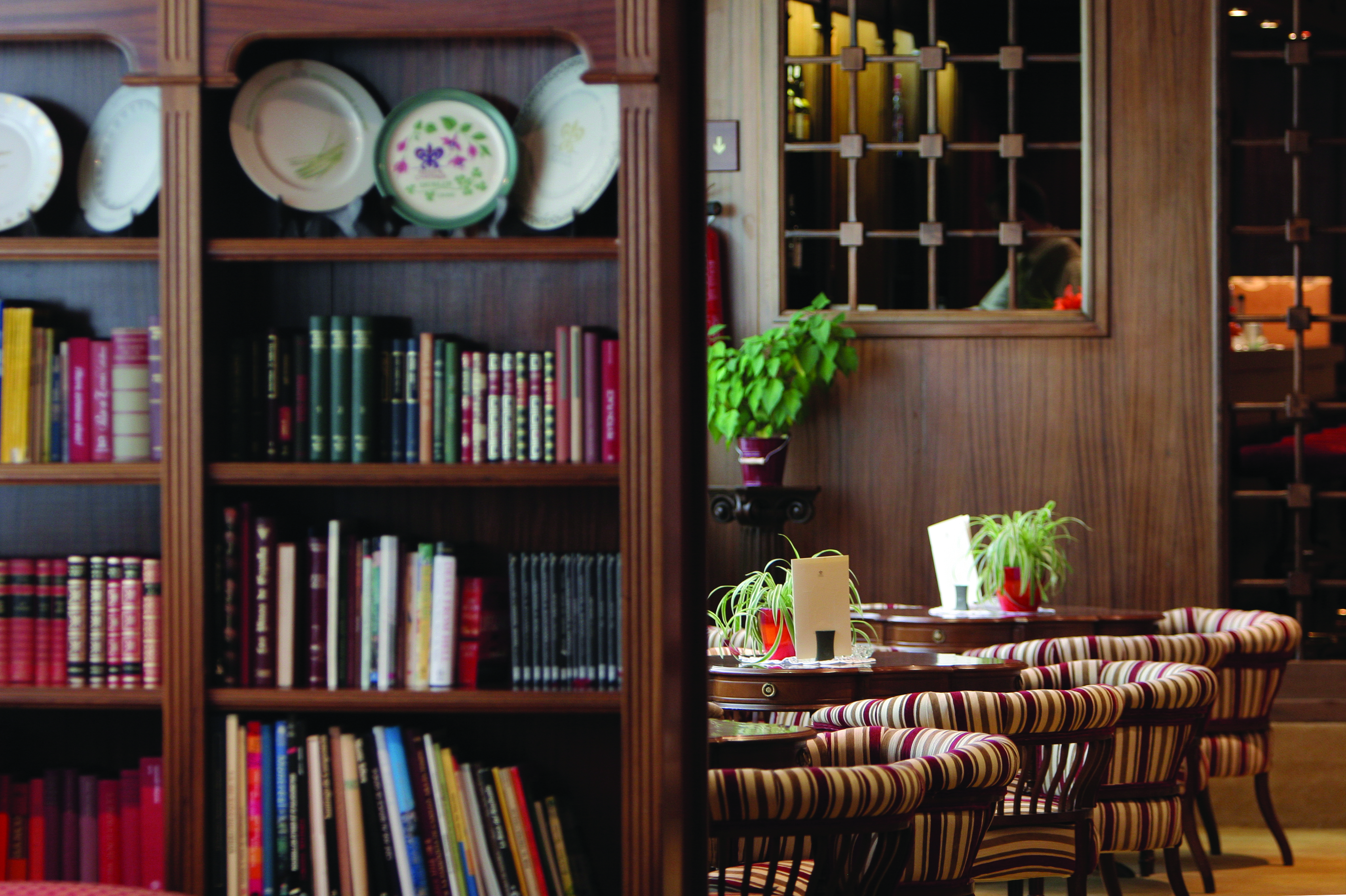 Hotel el Castell de Ciutat Catalonia bar indoor seating bookshelf traditional décor