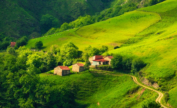 Sloping bright green hills with a few trees and farmhouses in Asturias
