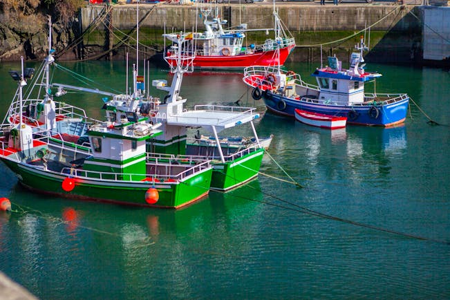 Green, red and blue fishing boats in harbour in Puerto de Vega in Asturias