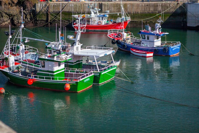 Green, red and blue fishing boats in harbour in Puerto de Vega in Asturias