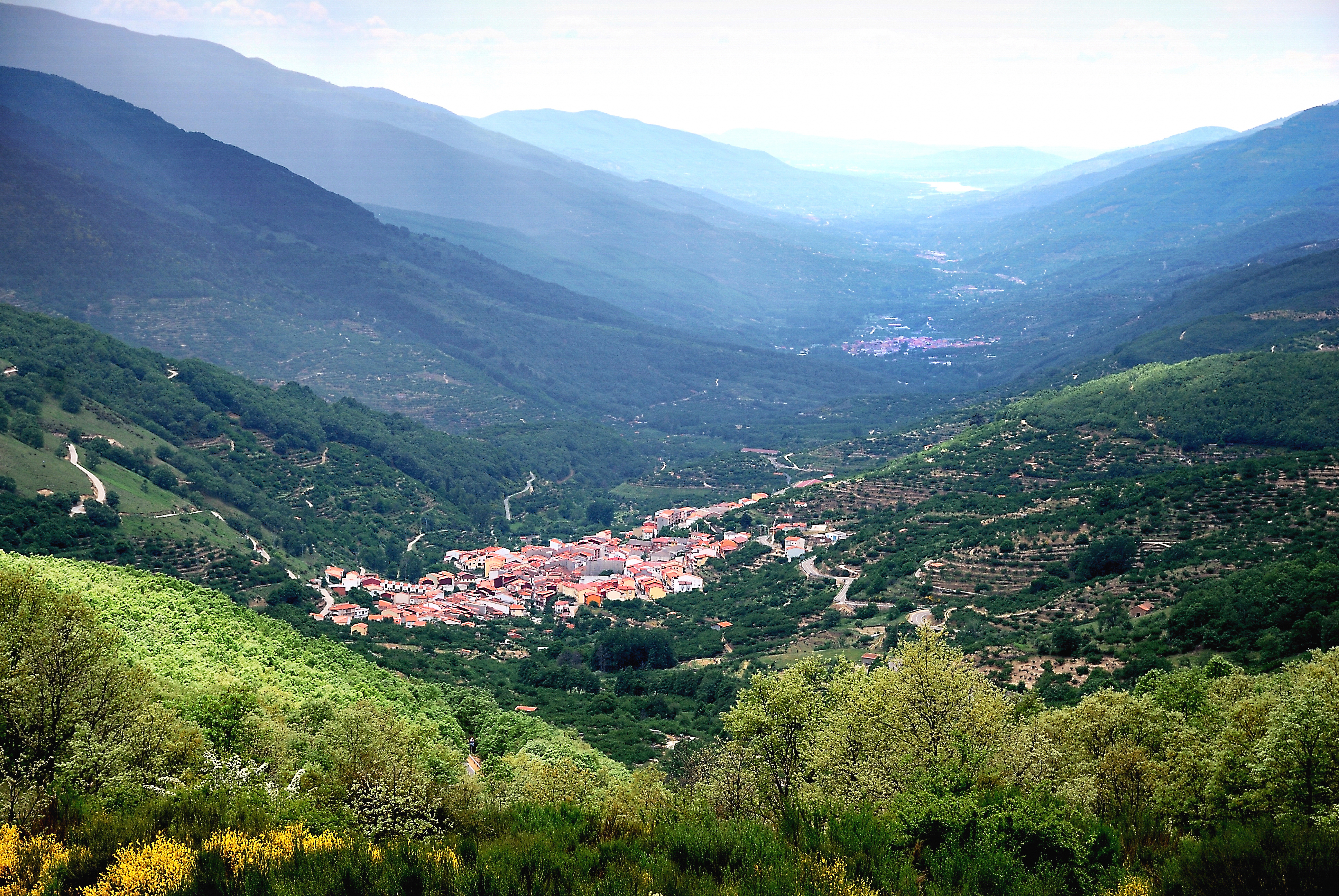 Cherry trees amid hills of the Jerte Valley in Extremadura