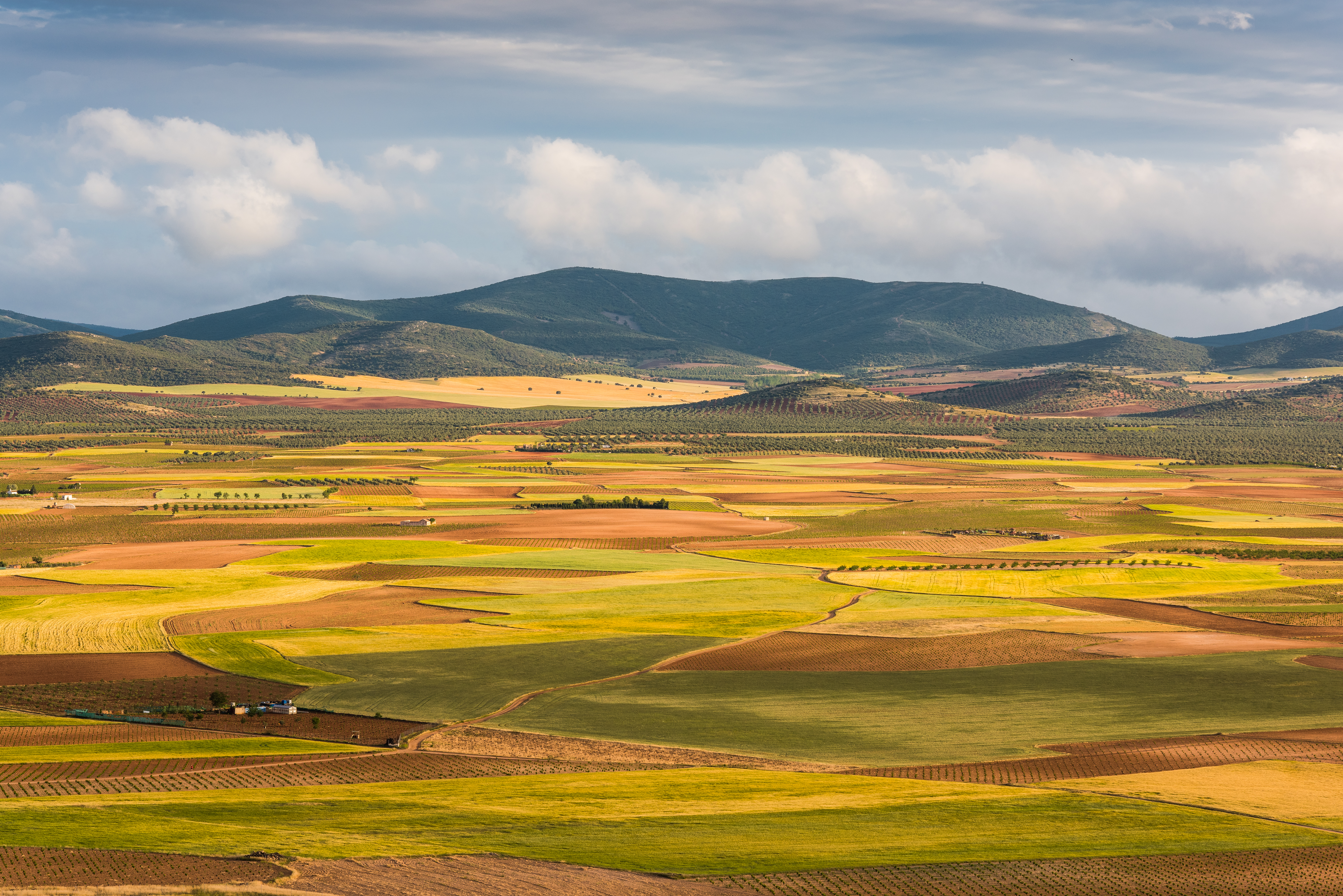 Fields in colours of yellow and brown and green with mountains in distances in Castille la Mancha
