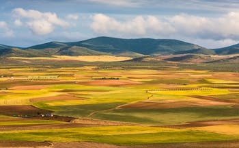 Fields in colours of yellow and brown and green with mountains in distances in Castille la Mancha
