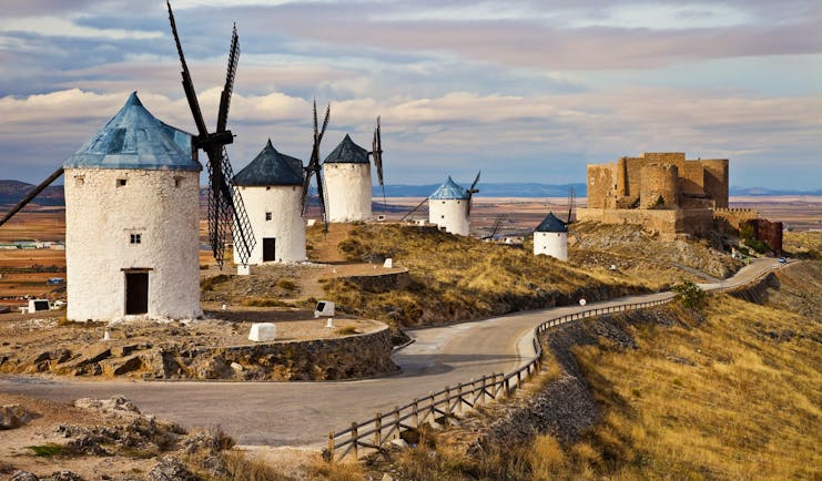 Traditional white windmills with conical roofs in arid landscape of La Mancha