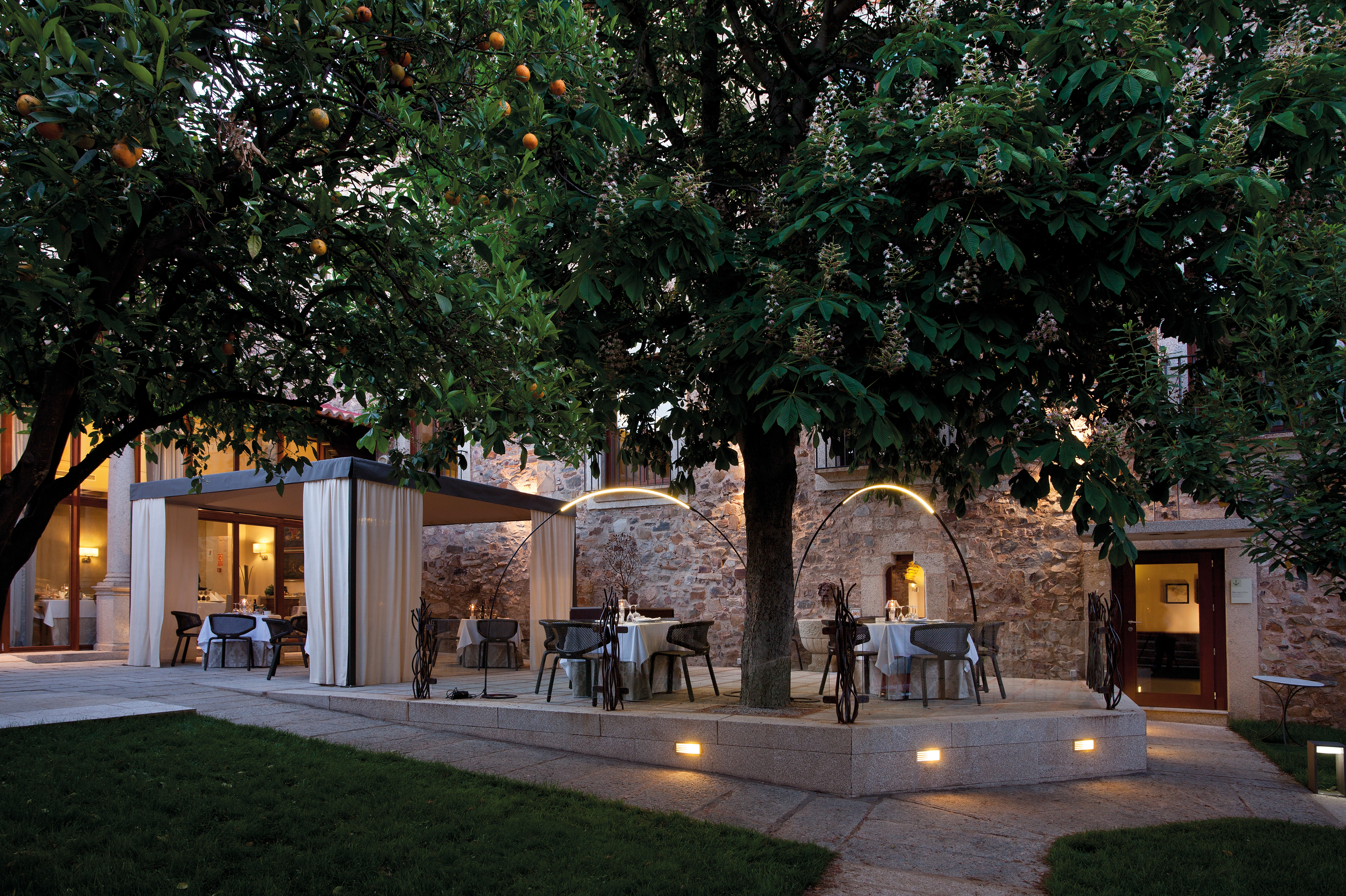Outdoor dining terrace with tables and chairs set out shaded by a large tree