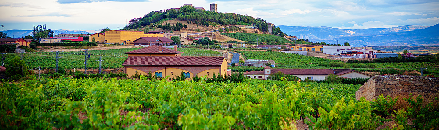 La Rioja landscape with hill, vines and buildings