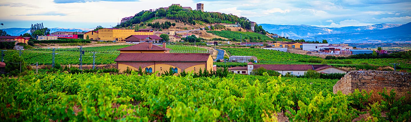 La Rioja landscape with hill, vines and buildings